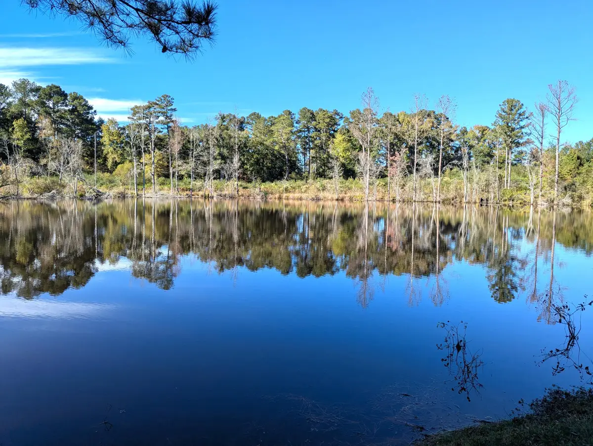 51 Long Cane Road, Johnston, SC 29832 - #1