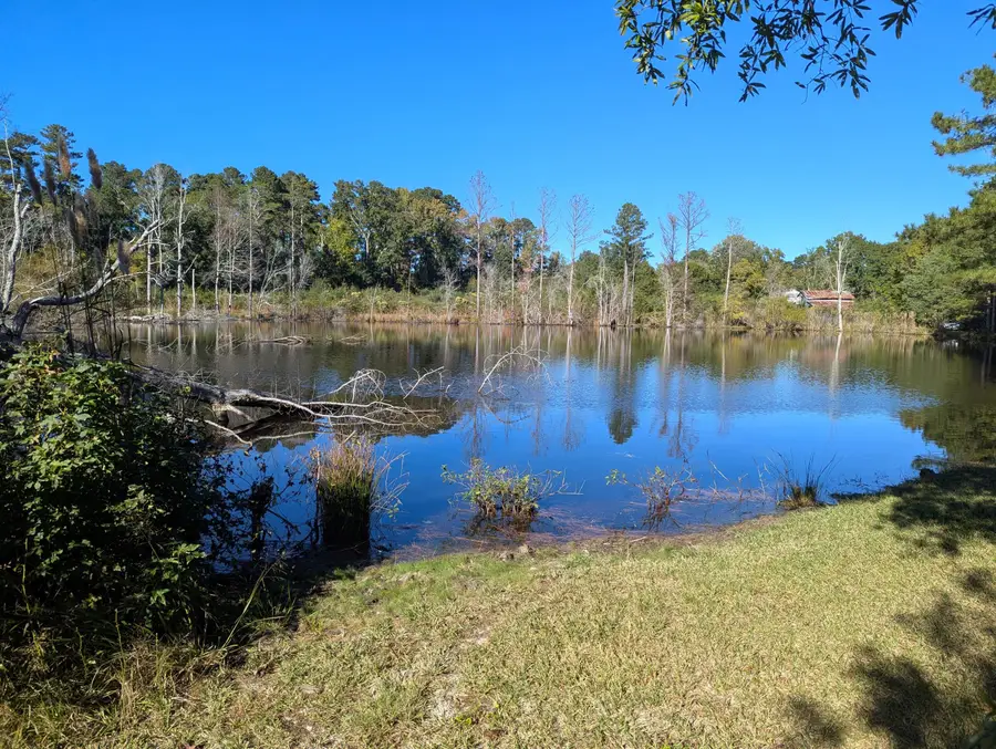 51 Long Cane Road, Johnston, SC 29832 - #3