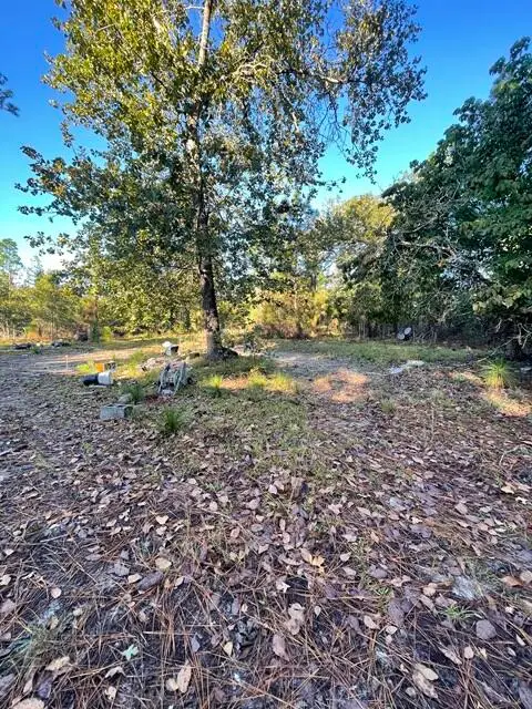 5038 Aggravashun Circle, Wagener, SC 29164 - #1
