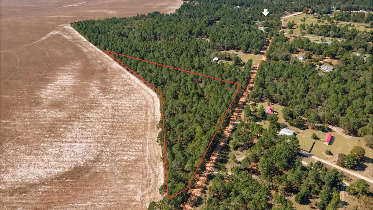 333 Northcutt Road, Pelion, SC 29123 - #1