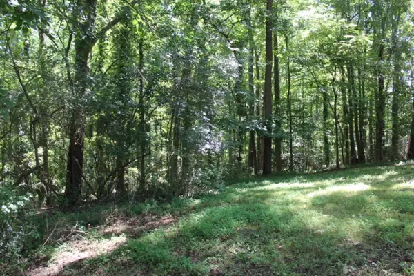 Lot B Sam Drive, Belton, SC 29627