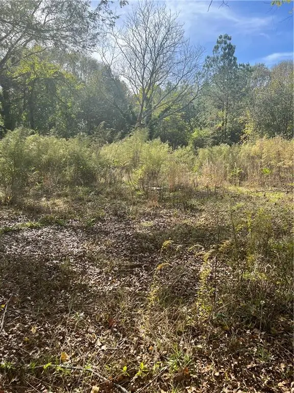 311 Doyle Street, Westminster, SC 29693 - #3