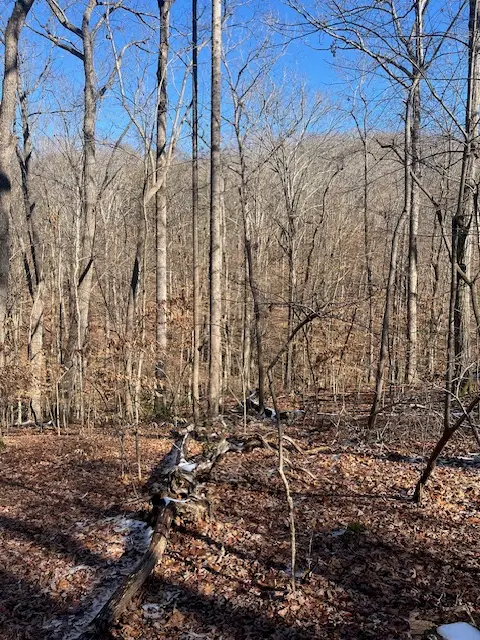 00 N Sundew Drive, Westminster, SC 29693