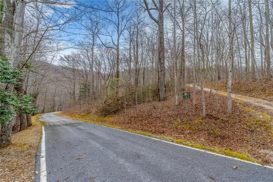 8 Granite Falls Drive, Landrum, SC 29356 - Image #2