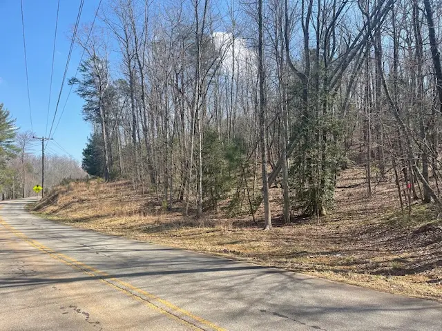 00 Burts Road, Marietta, SC 29661 - #1