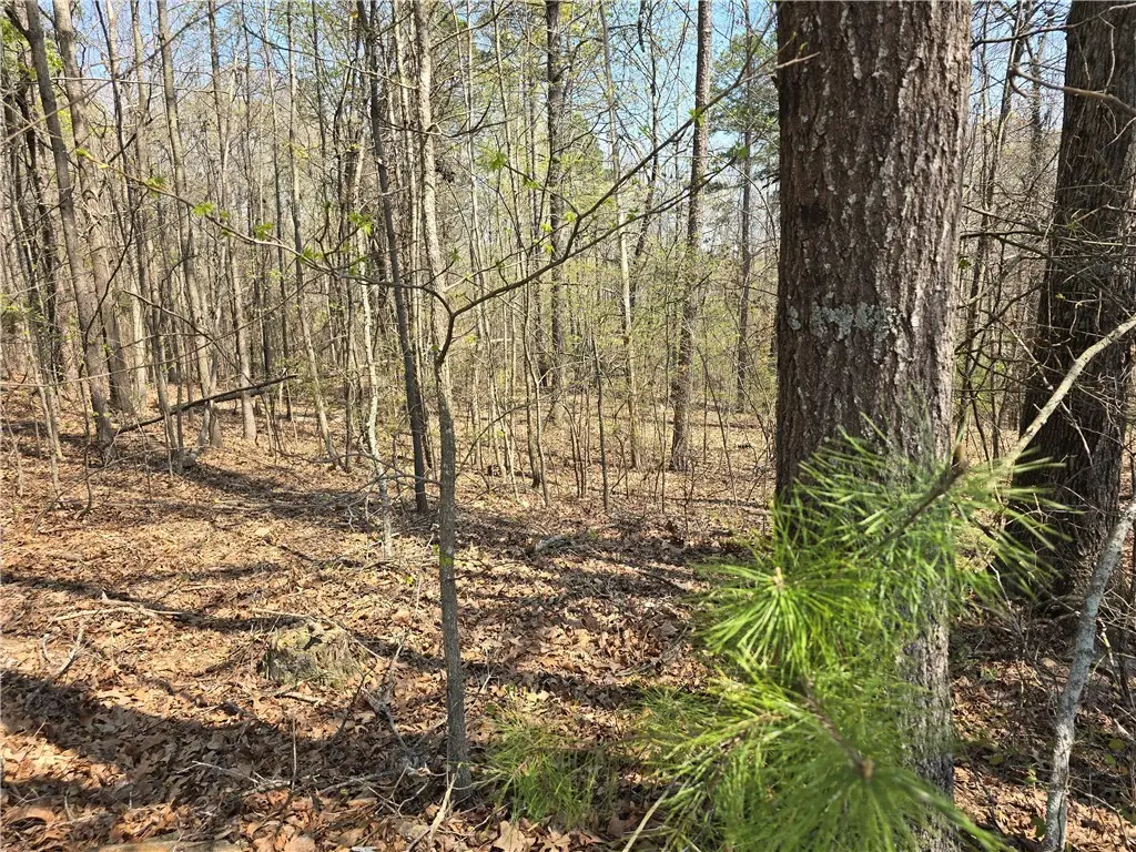 759 Durham Brown Road, Seneca, SC 29678 - Image #1