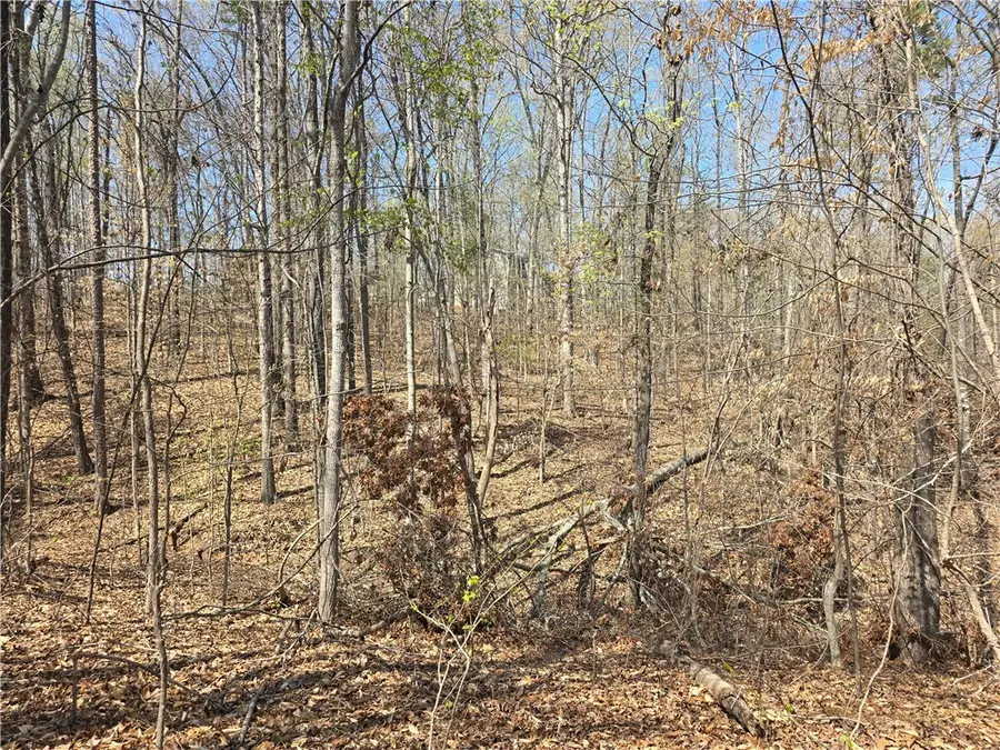 759 Durham Brown Road, Seneca, SC 29678 - Image #2