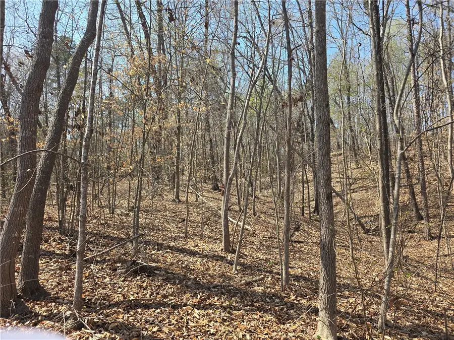 759 Durham Brown Road, Seneca, SC 29678 - Image #3