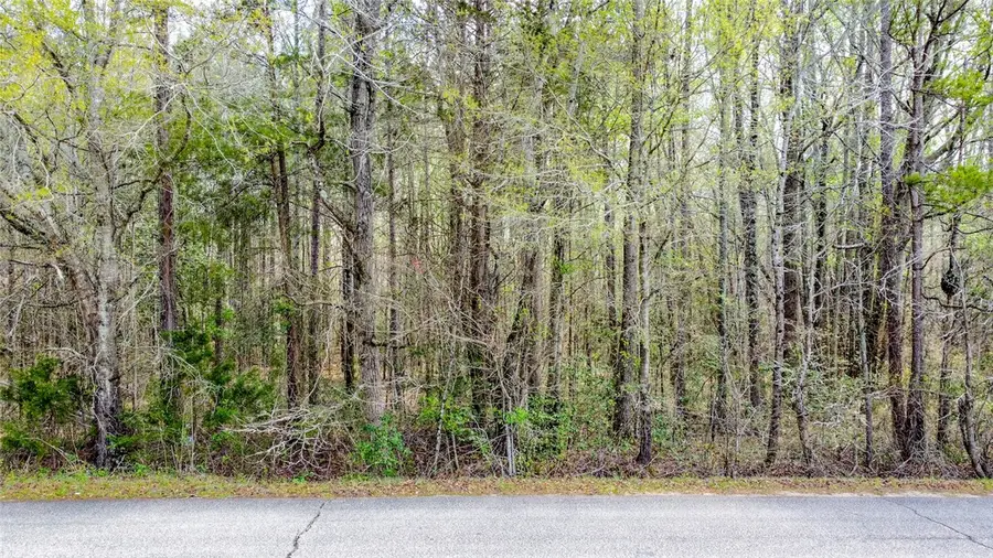 0 Finley Road, Belton, SC 29627 - Image #2