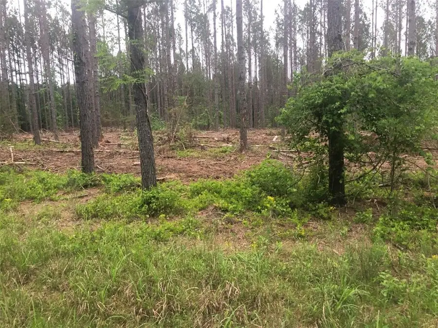 00 Mike Mcc0nnell Avenue, Iva, SC 29655 - Image #2