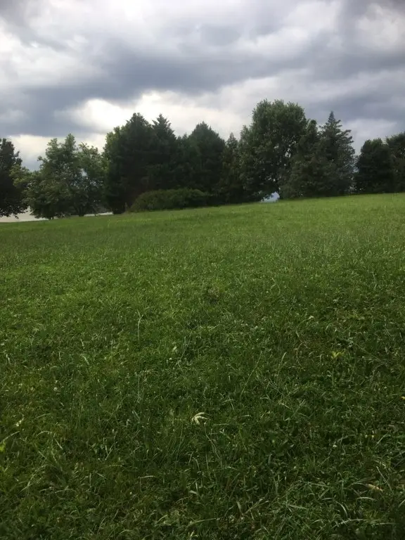 1240 Lakeview Drive, Greenville, SC 29611