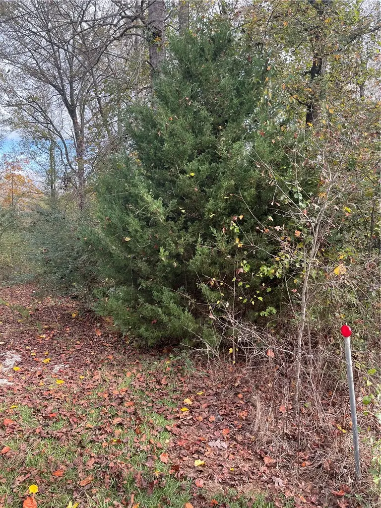 700 Keowee Trail, Seneca, SC 29672 - #2