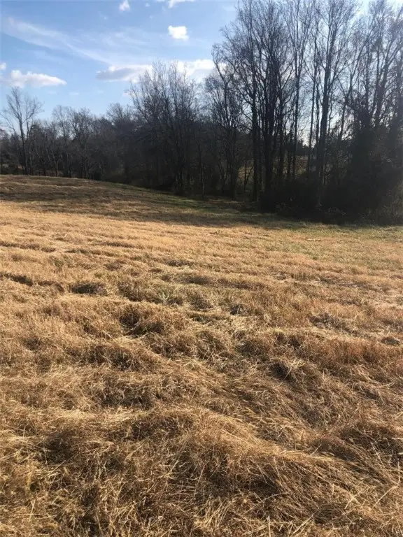 000 Joyo Road, Iva, SC 29655 - Image #2