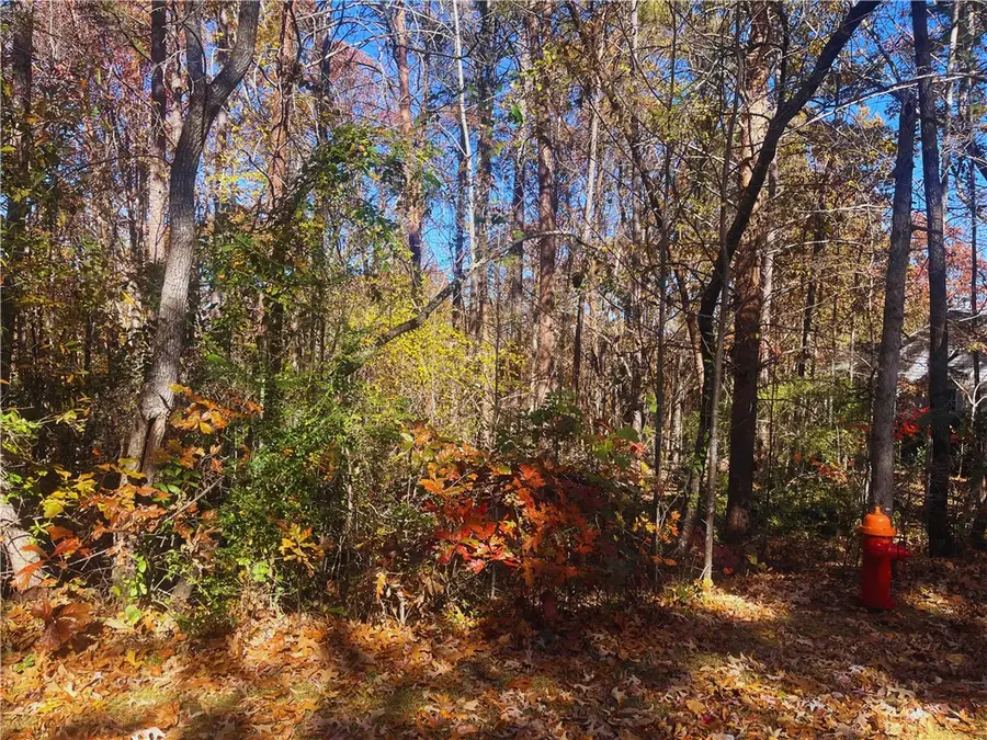 115 Beacon Ridge Circle, Salem, SC 29676 - Image #3