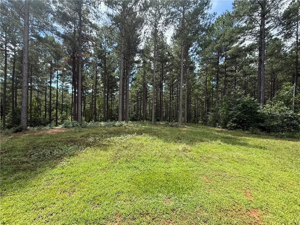 0 High Pines Drive #Lot 4, Salem, SC 29676 - Image #1