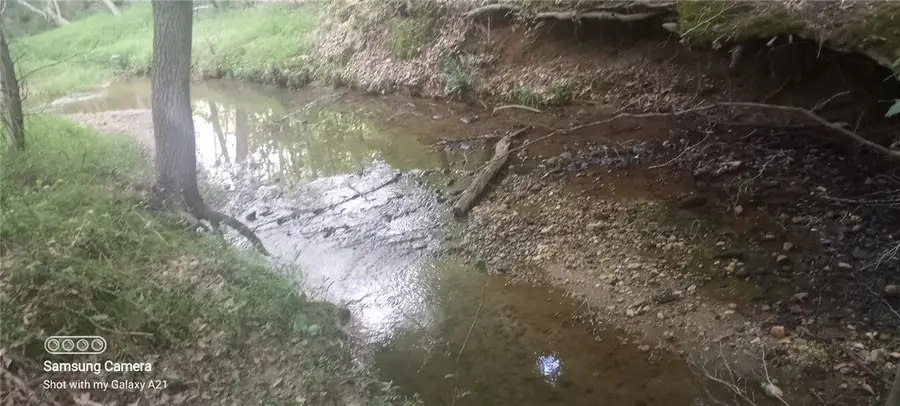 3567 Wright School Road, Anderson, SC 29621 - #2