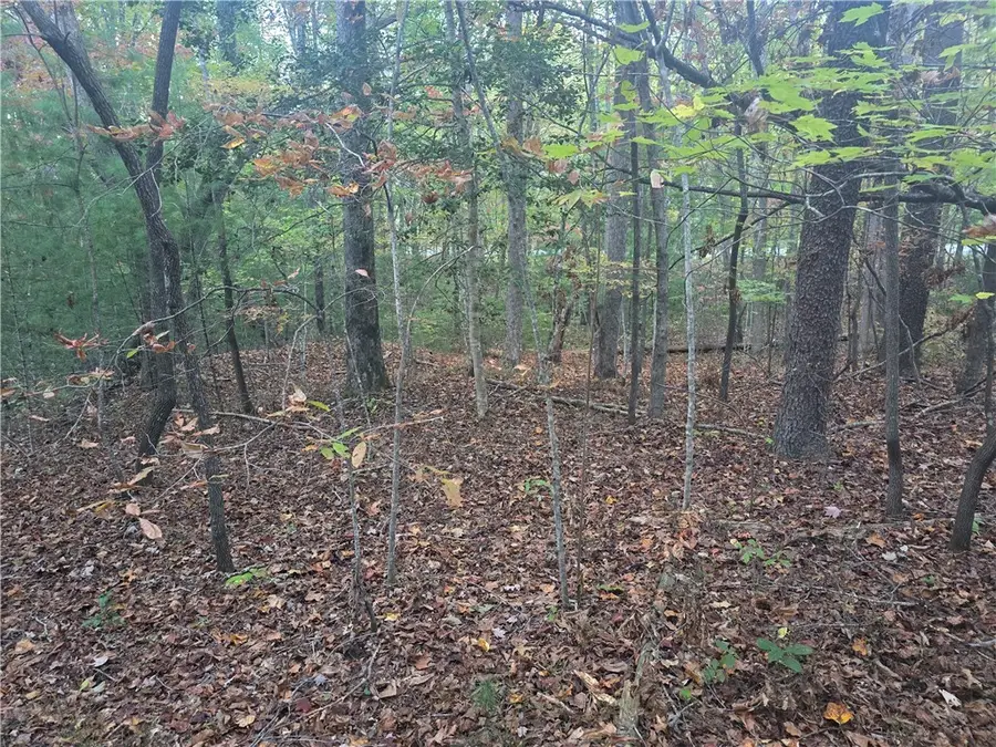 #3