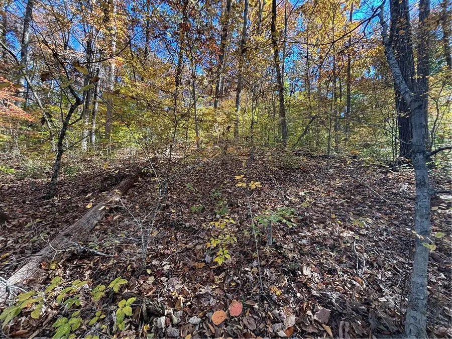 144 Chilhowee Drive, Westminster, SC 29693 - Image #2