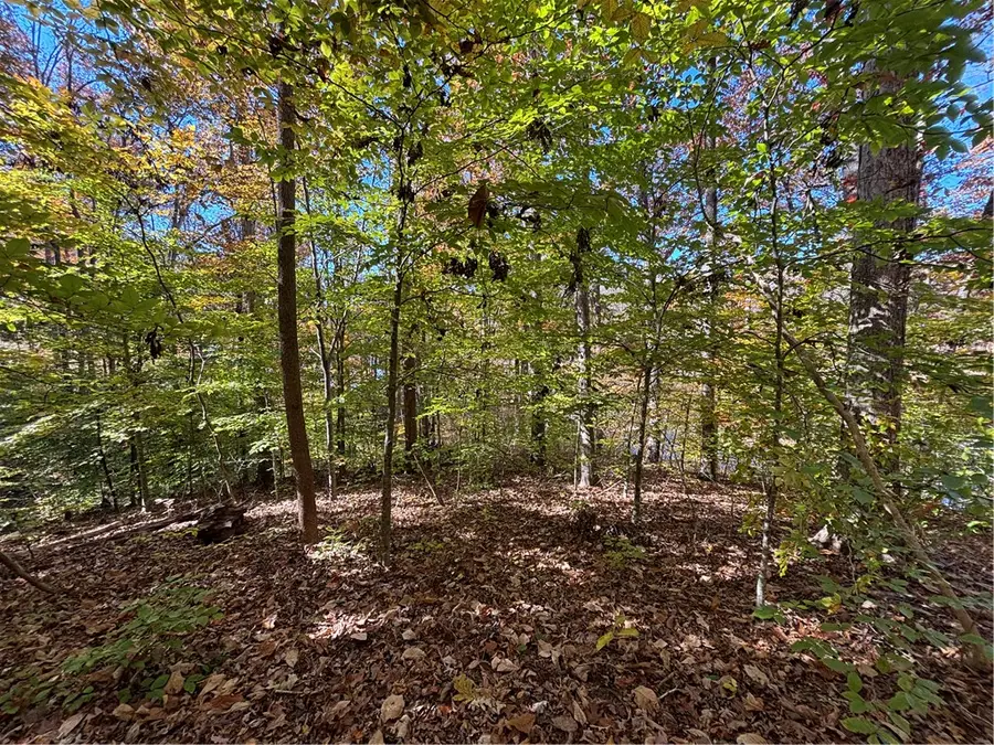 144 Chilhowee Drive, Westminster, SC 29693 - Image #3