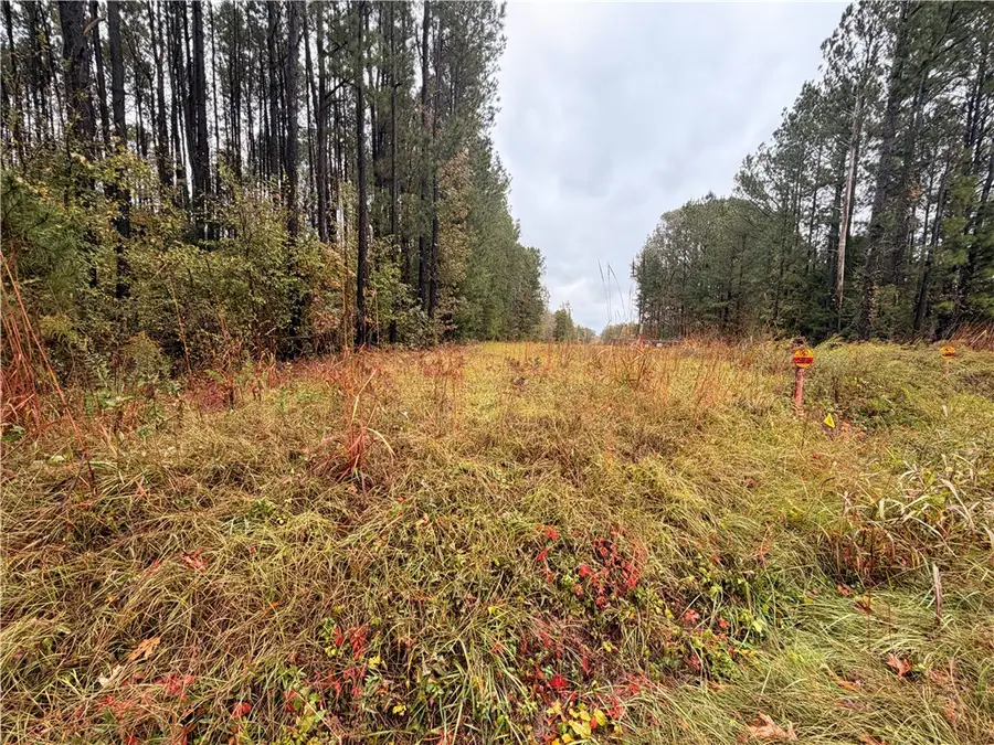 00 Beech Springs Road Road, Pelzer, SC 29669 - Image #2