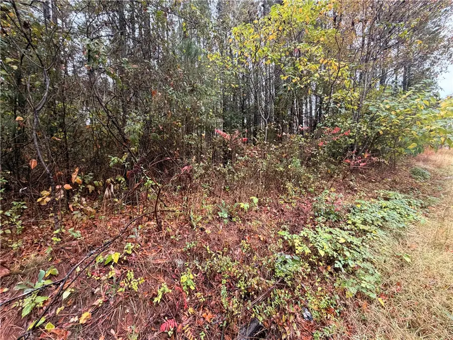 00 Beech Springs Road Road, Pelzer, SC 29669 - Image #3