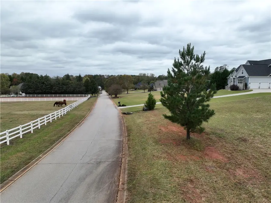 208 Chestnut Springs Way, Williamston, SC 29697 - Image #2