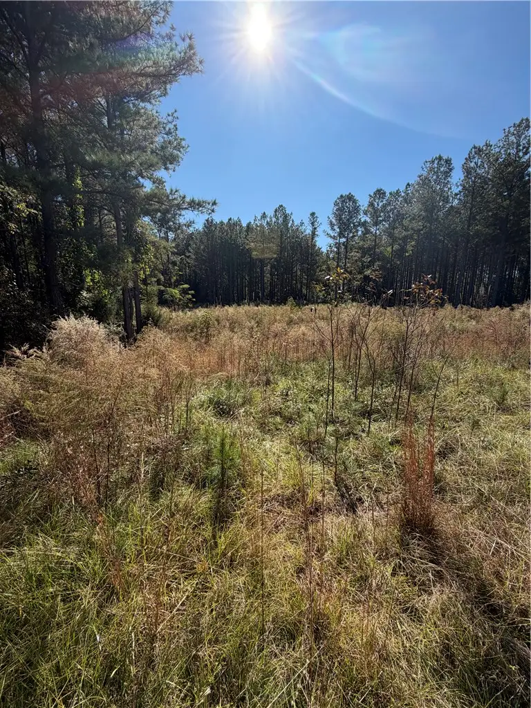 31 Waterside Point, Abbeville, SC 29620 - Image #1