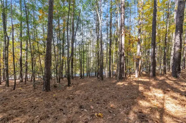 Lot 202 Waterside Crossing (shorewinds Ct), Seneca, SC 29672