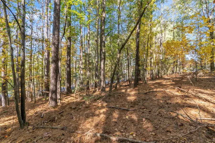 Lot 202 Waterside Crossing (shorewinds Ct), Seneca, SC 29672 - Image #2