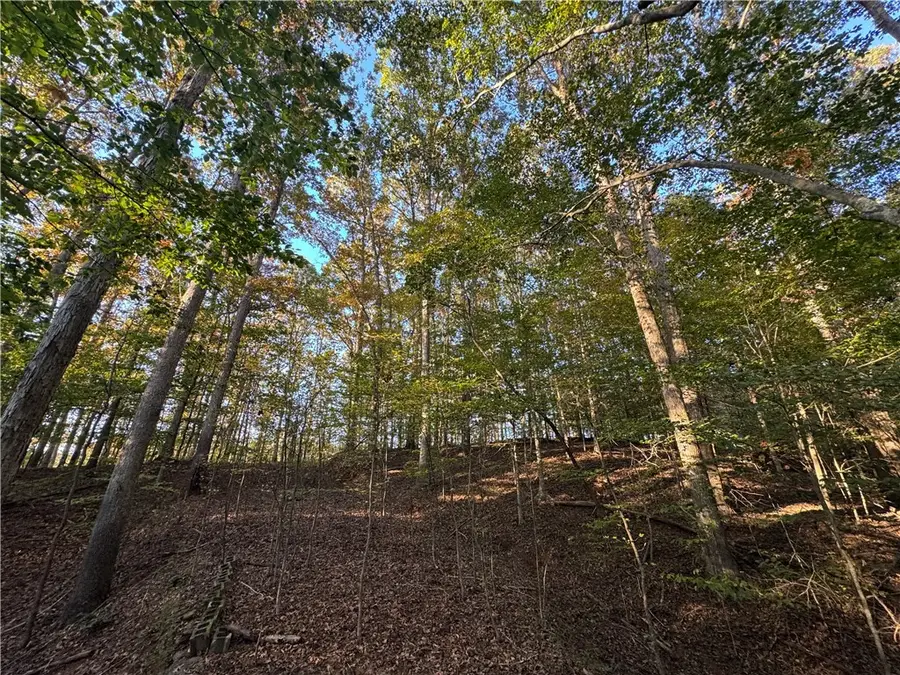 401 Highway 17, Royston, GA 30662 - Image #2