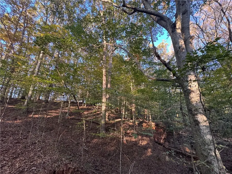 401 Highway 17, Royston, GA 30662 - Image #3