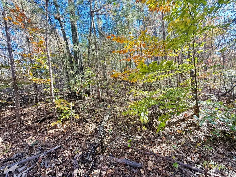 1333 Georgia Road, Seneca, SC 29678 - Image #2