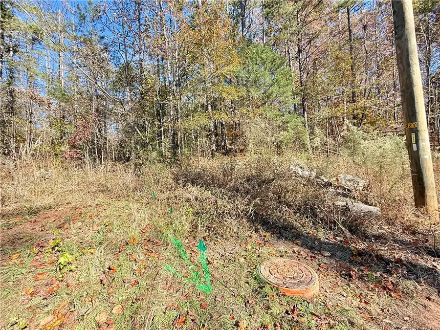 1333 Georgia Road, Seneca, SC 29678 - Image #3