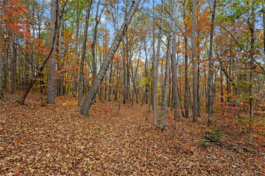 00 Welcome Church Road, Westminster, SC 29693 - Image #3