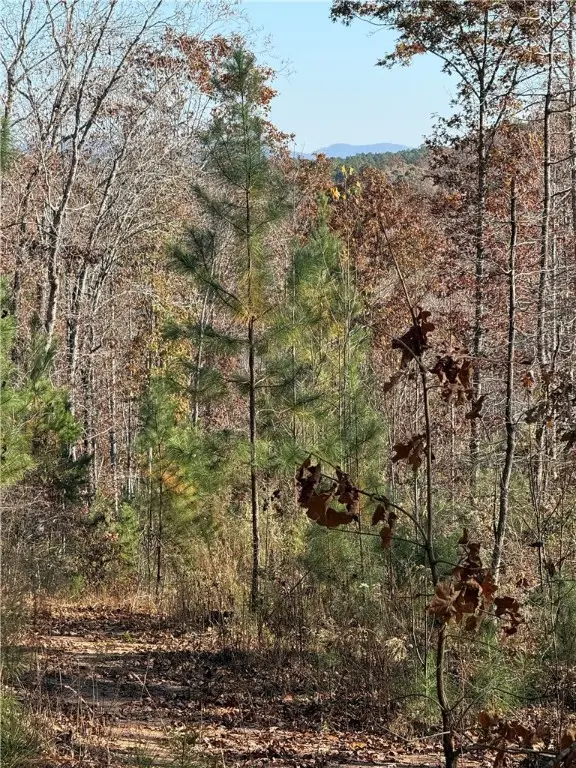 TBD Alexander Road, West Union, SC 29696 - Image #3