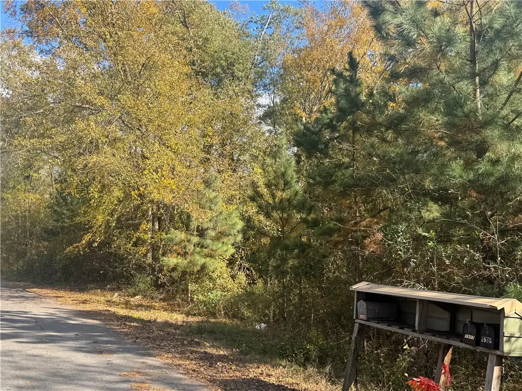 Lot 42 A E Lonsdale Street, Seneca, SC 29678 - Image #1