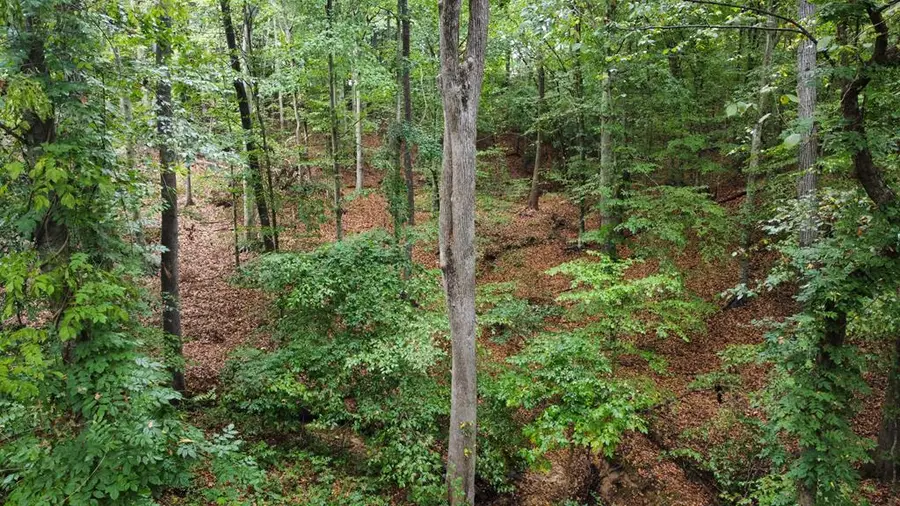 10 Cross Street, Abbeville, SC 29620 - #3