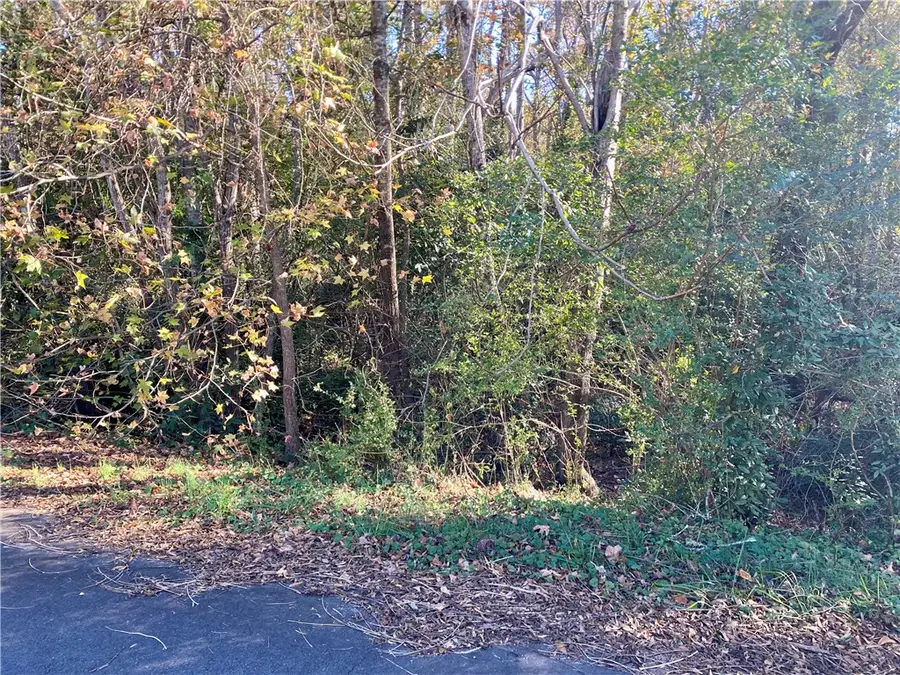 00 Ervin Street, Honea Path, SC 29654 - Image #2