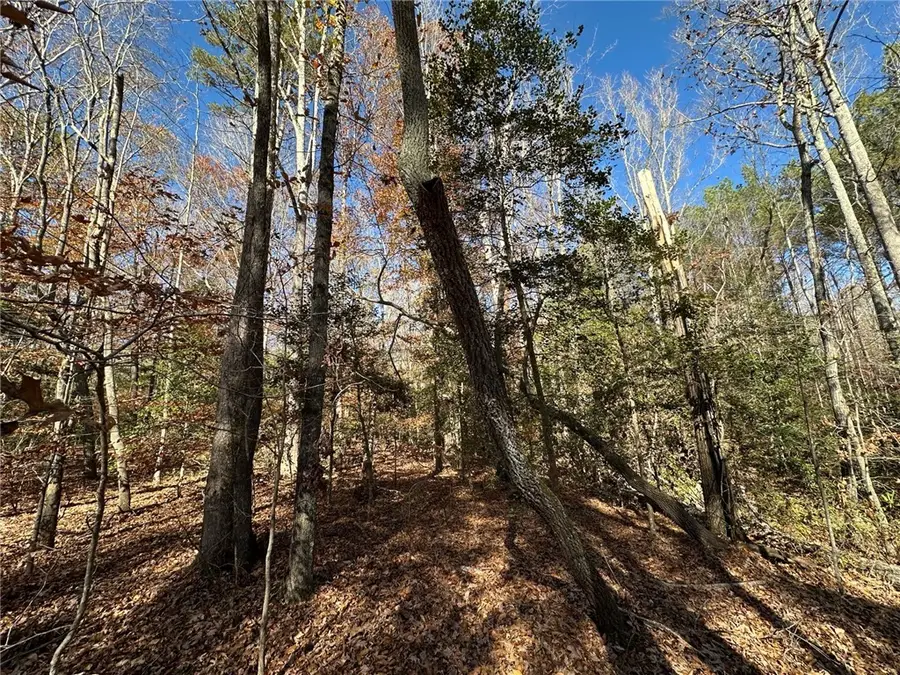 110 Watt Rogers Road, Pelzer, SC 29669 - Image #2