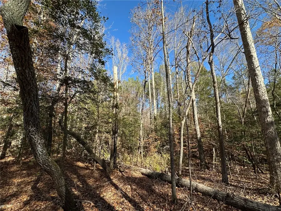 110 Watt Rogers Road, Pelzer, SC 29669 - Image #3