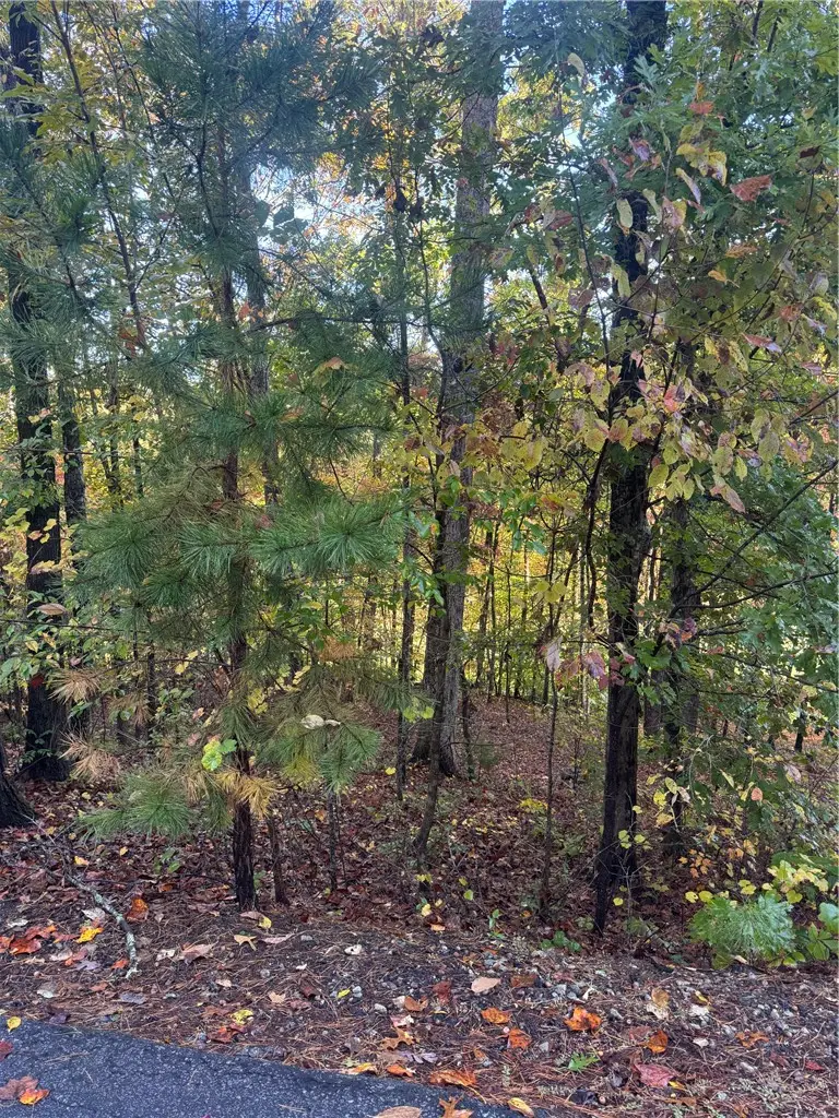 42 Channel Lane, Salem, SC 29676 - Image #1