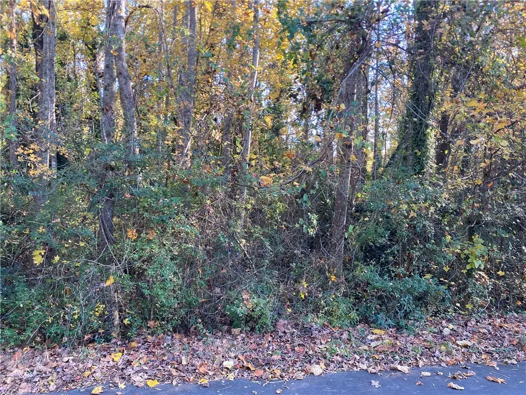 00 Brook/hampton Avenue, Honea Path, SC 29654 - Image #1