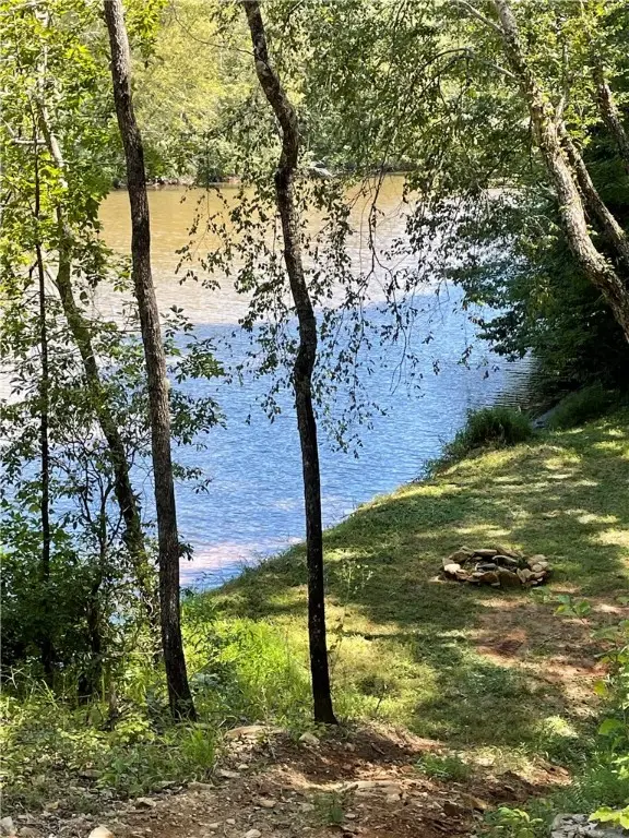 TBD Colony Lane, West Union, SC 29696 - Image #2