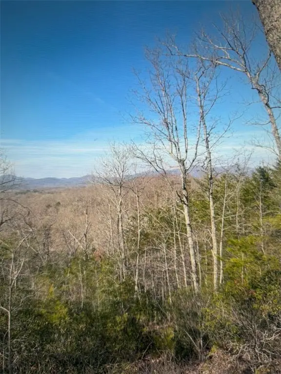 1130 Packs Mountain Ridge Road, Taylors, SC 29687 - Image #1