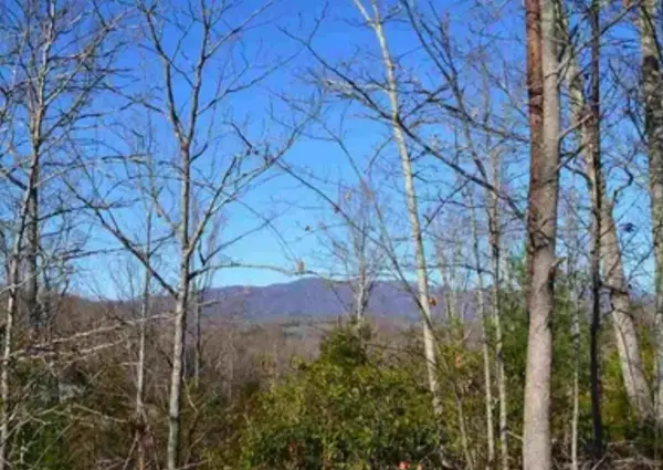 1130 Packs Mountain Ridge Road, Taylors, SC 29687