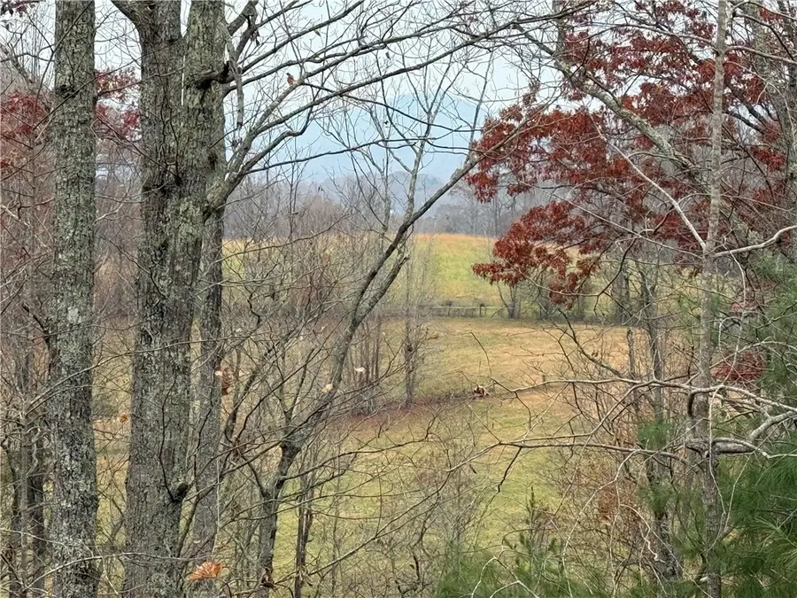 1130 Packs Mountain Ridge Road, Taylors, SC 29687 - Image #2