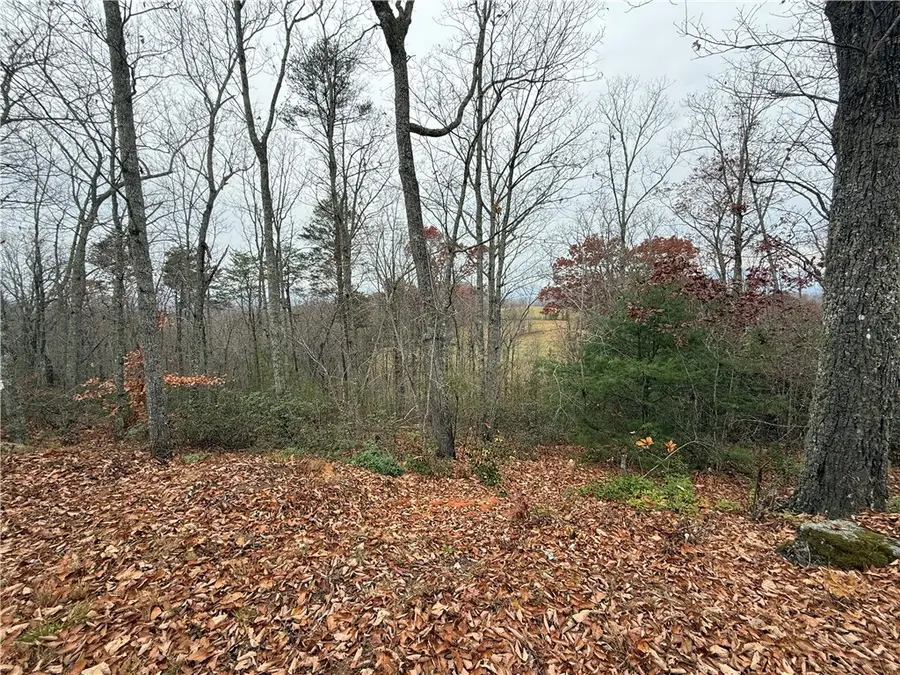 1130 Packs Mountain Ridge Road, Taylors, SC 29687 - Image #3