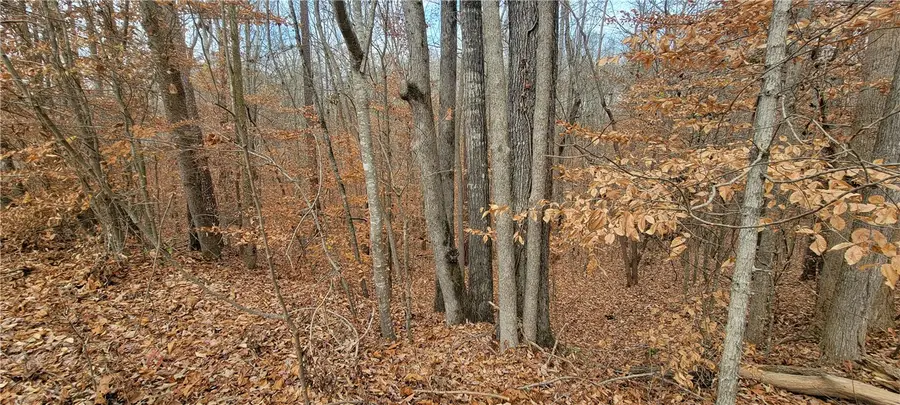 00 Gum Court, Westminster, SC 29693 - Image #2