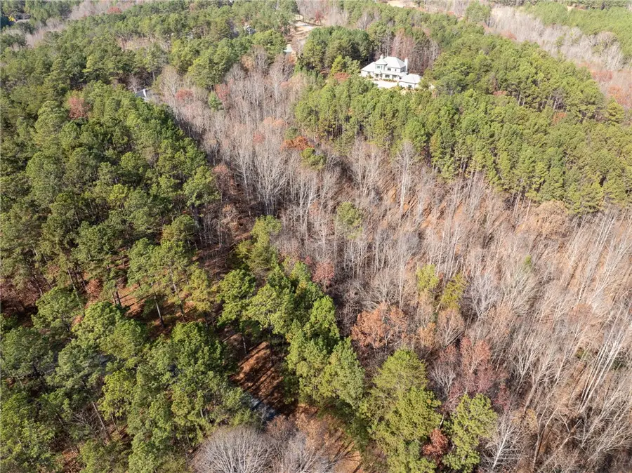 311 Golden Bear Drive, Sunset, SC 29685 - Image #3