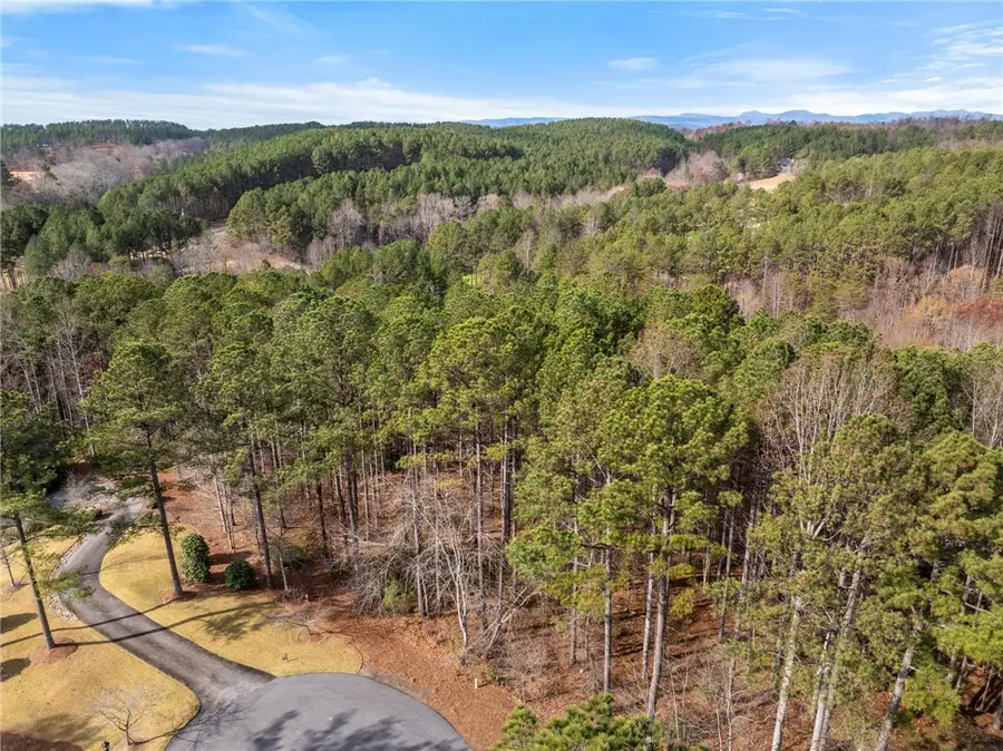 112 Northington Court, Sunset, SC 29685 - Image #3